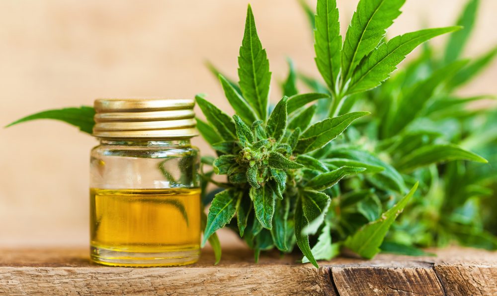 Hemp Seed Oil Vs. CBD Oil – What You Should Know – Utopius